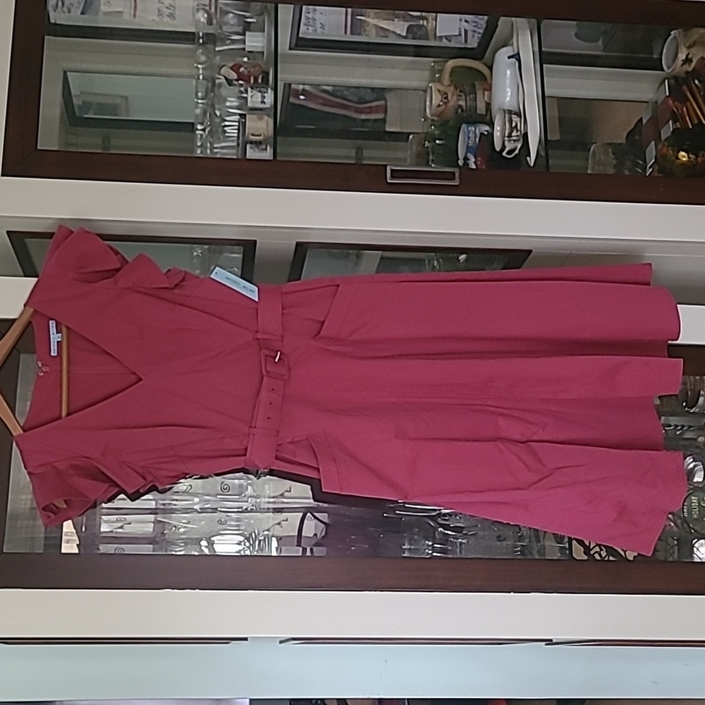 NWT Antonio Melani A-Style Dress ❤️ - Picture 2 of 10
